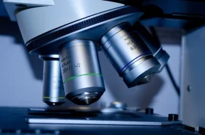 laboratory animals jpg